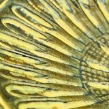 Coceram dish for Martini & Rossi