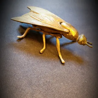 Bronze ashtray representing a fly