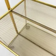 Mid-century modern folding bar cart in brass and ribbed acrylic glass, 1970s