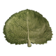 Plat barbotine, feuille de chou