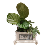 Louis XVI and Wedgwood style porcelain planter