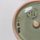 cracked celadon jewelry box signed Siam and numbered handmade lotus flower pattern