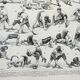 Old engraving 1898, Wrestling, combat sport, boxing • Lithograph, Original plate