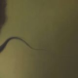 Old portrait - “Les moustachu-es” series