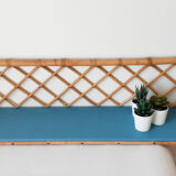Blue rattan shelf