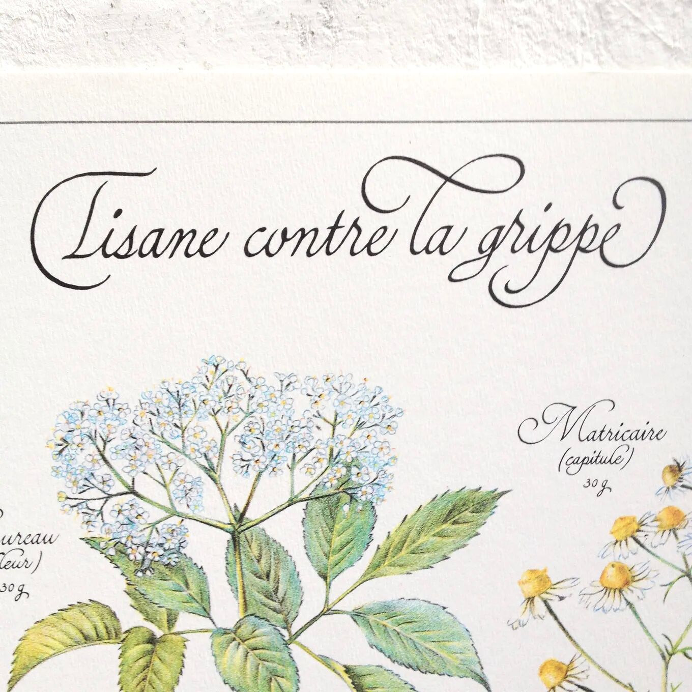 Botanical plank herbal tea against the flu