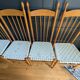 Rare ensemble de six chaises modele"Racine" de Roche Bobois.