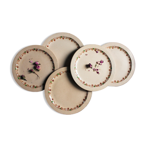lot de 5 assiettes à