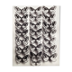 Papillons 4