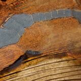 Original pocket emptying