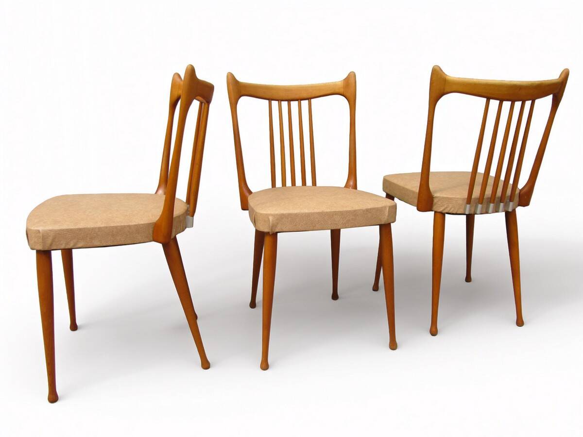 Mid-Century Dutch Organic Design Chairs from Stevens, 1950s, Set of 3