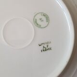 Limoges porcelain by André François (1919-1934) - 12 plates + 1 dish