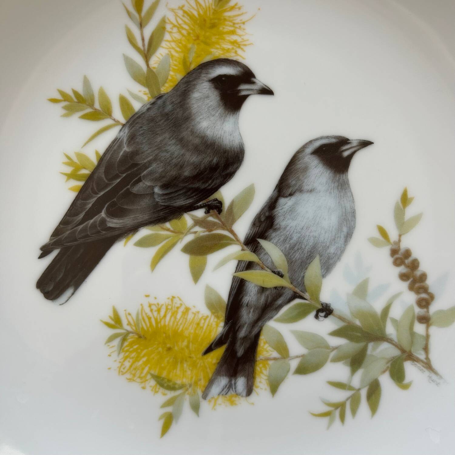 Limited edition bird plate