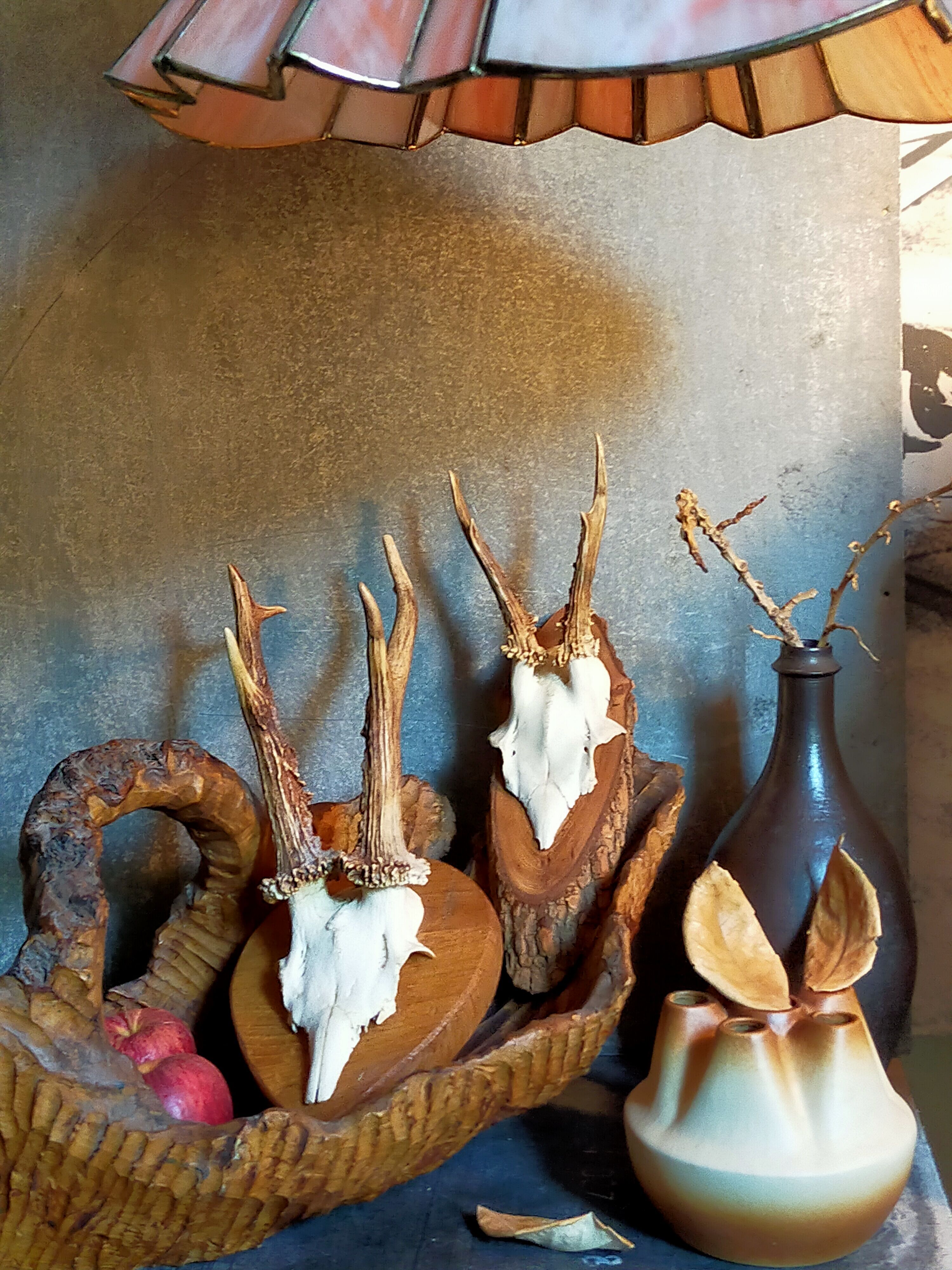 Duo of vintage hunting trophies Art-populaire 50s