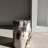 Side table in petrified wood