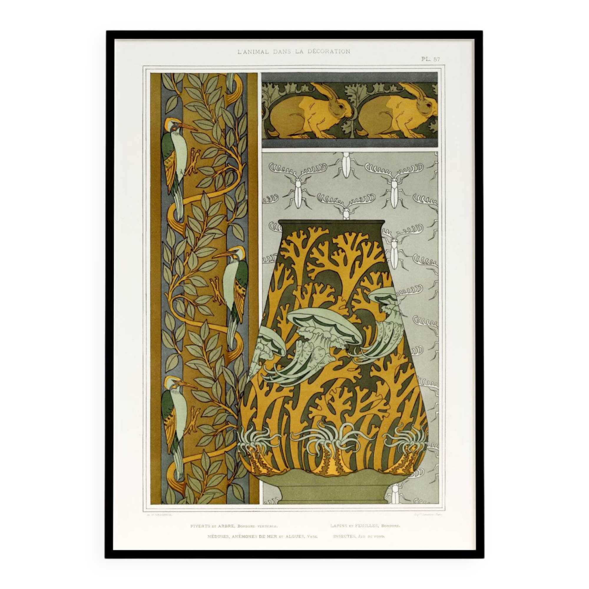 Poster “Animals in decoration – Woodpeckers, rabbits and jellyfish”