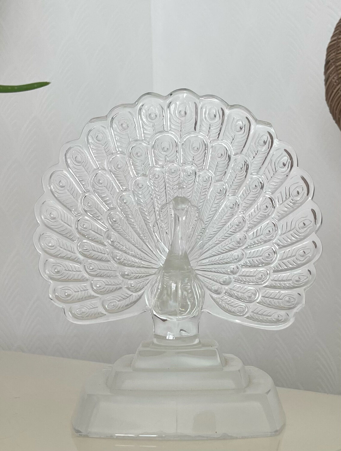 Crystal peacock book greenhouse