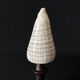 Shell Conus Litteratus on blackened turned wooden base old cabinet of curiosities