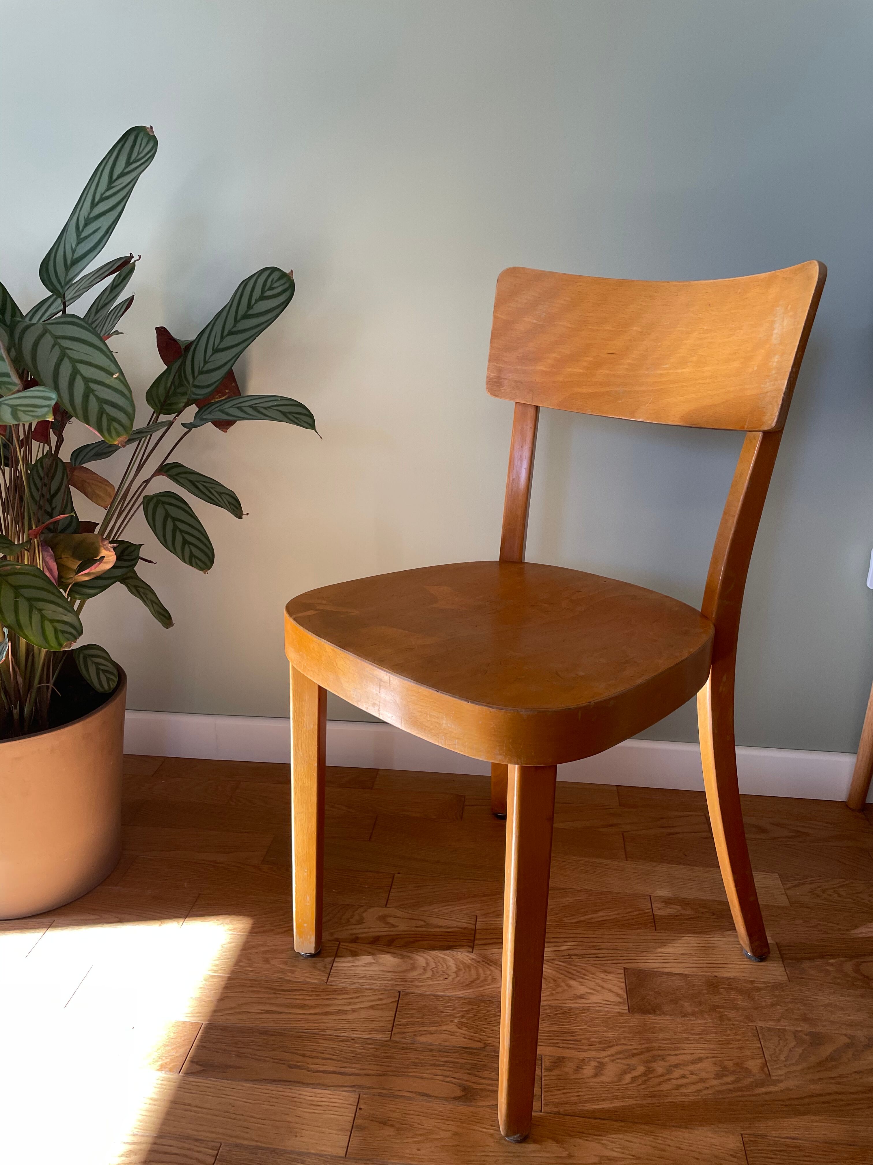 Chair Bistrot Horgen Glarus