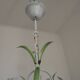 French Vintage 3 Light Pink Lily Flower Cage Style Metal Chandelier 5470