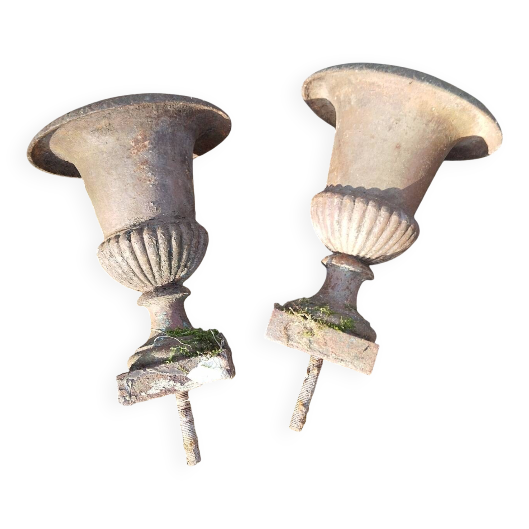 Pair of cast iron Medici vases