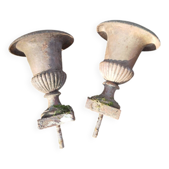 Paire de vases medicis fonte