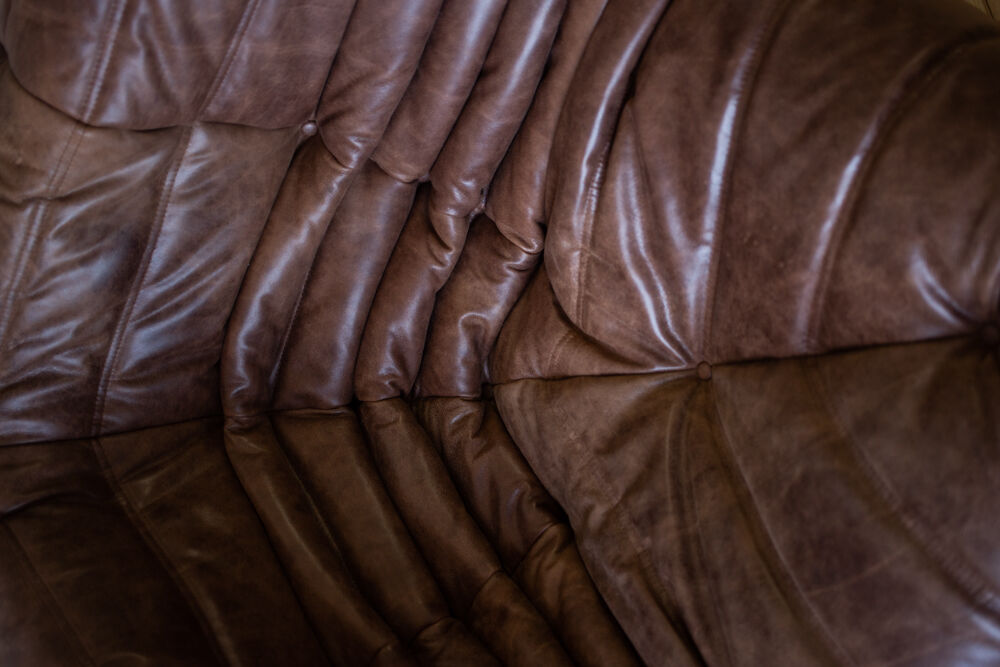 Togo armchair model designed by Michel Ducaroy 1973