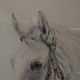Pencil wash drawing on vellum horse painting signature to identify framed signed and dated