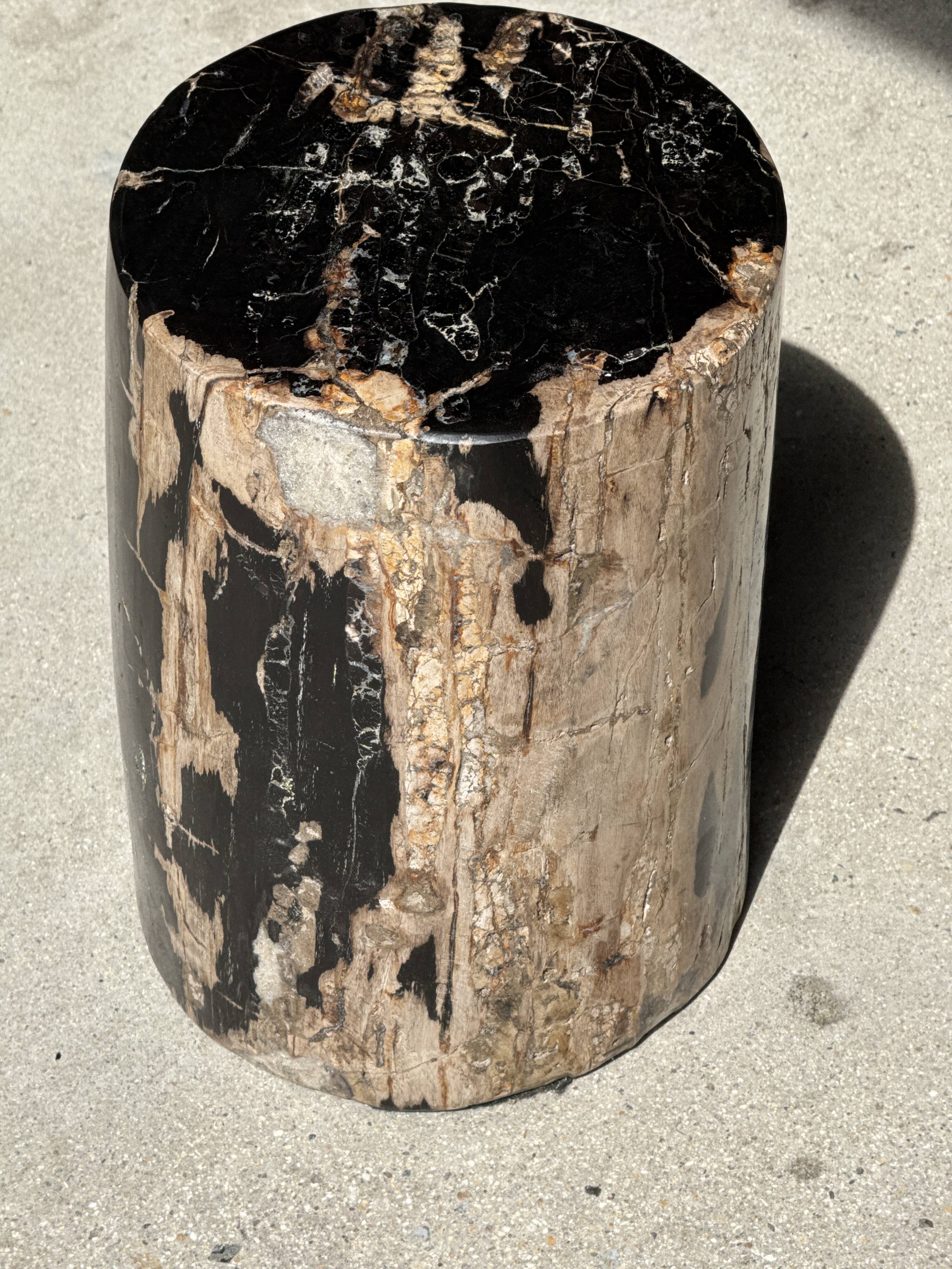 Black petrified wood side table with beige side H35 D24 - 3352