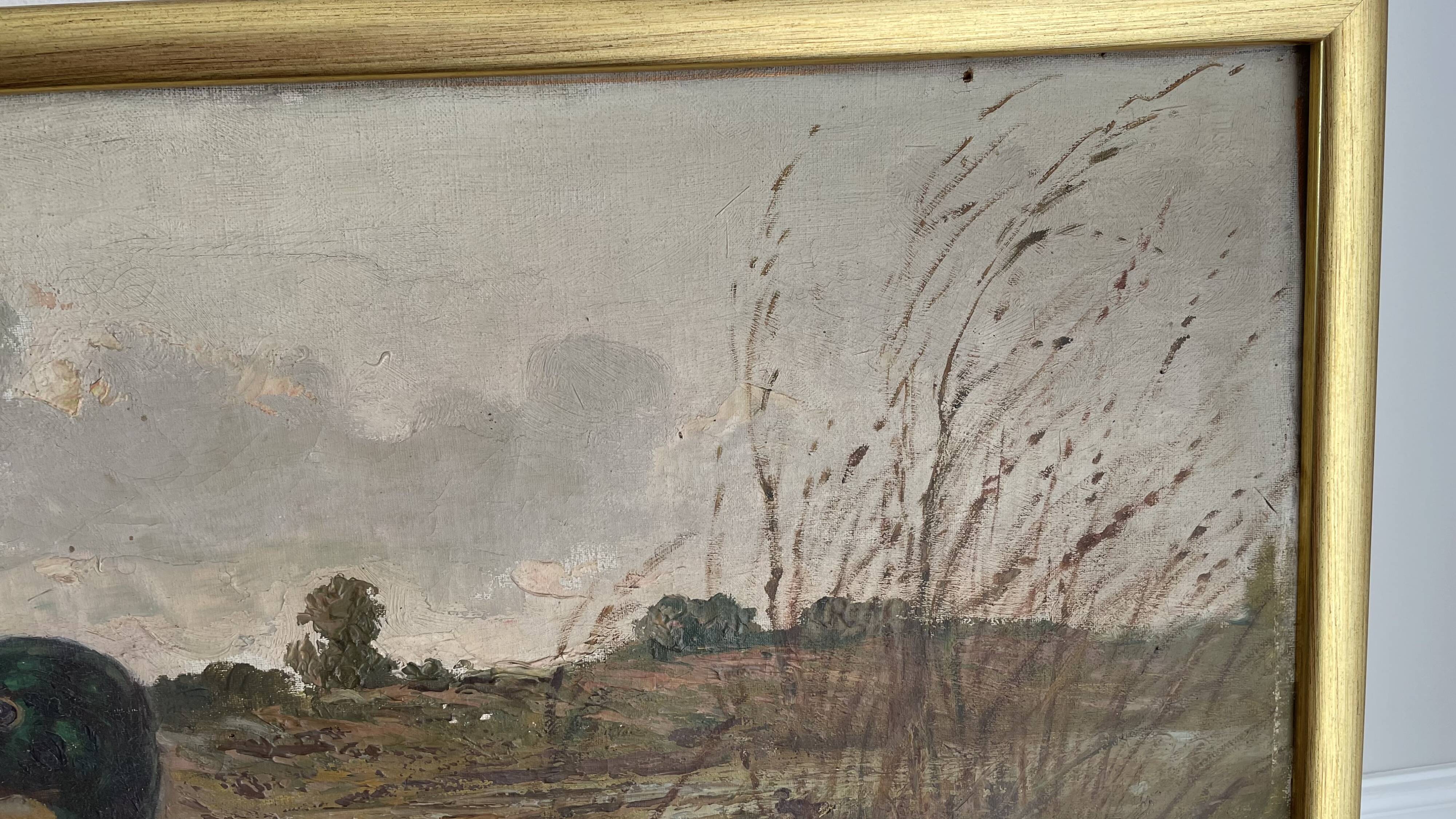 HST oil painting, Ermanno Clara, wild duck, late 19th early 20th century