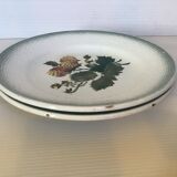Paire d’anciennes assiettes fruits saint Amand