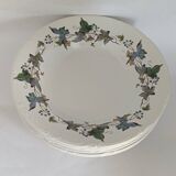 Royal China Vigo porcelain soup plates