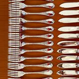 Christofle Marly fish cutlery and serving set with box, new condition
