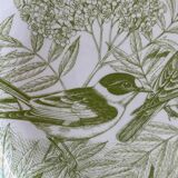 Assiette verte oiseaux.