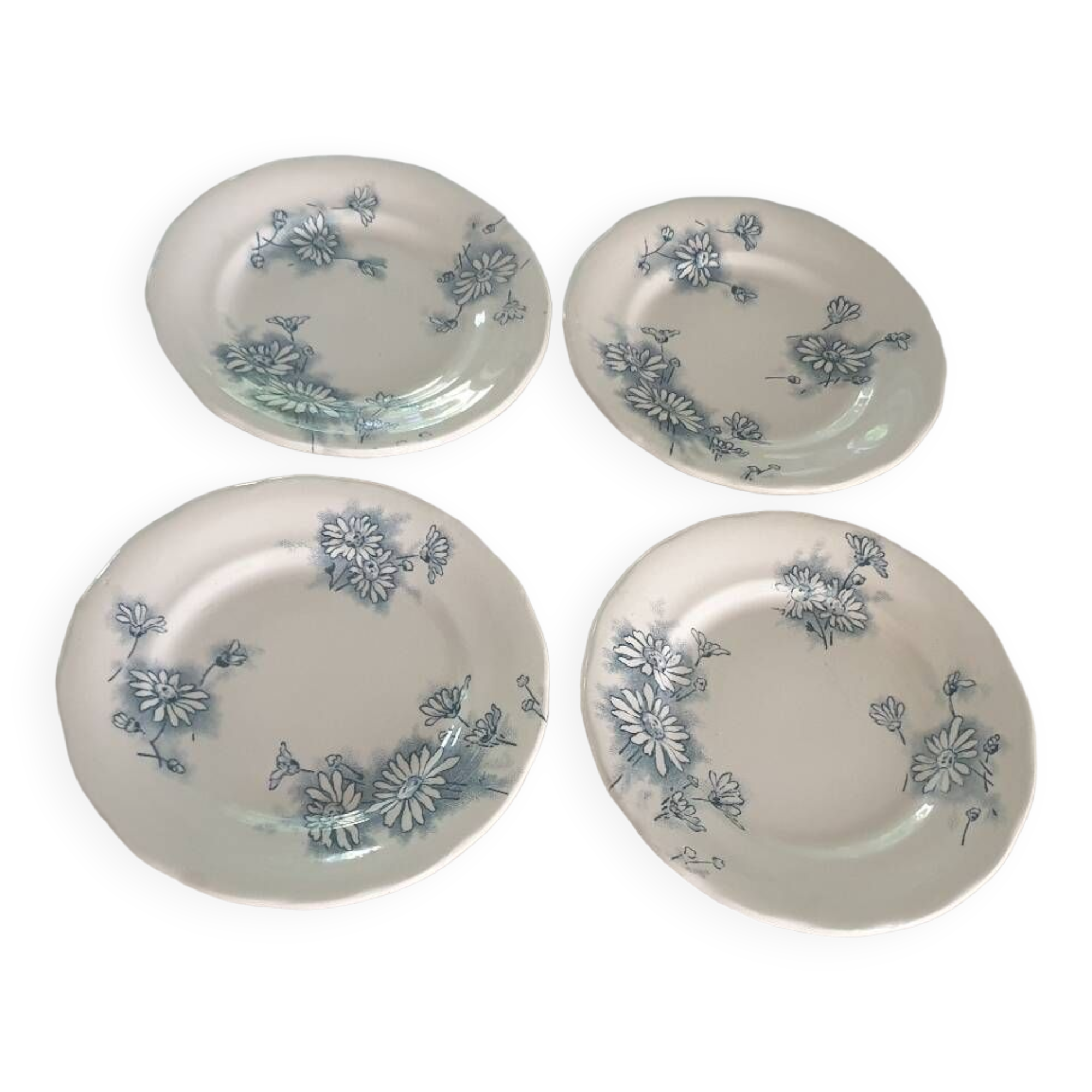 Four Marguerite plates