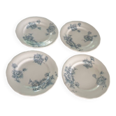 Four Marguerite plates