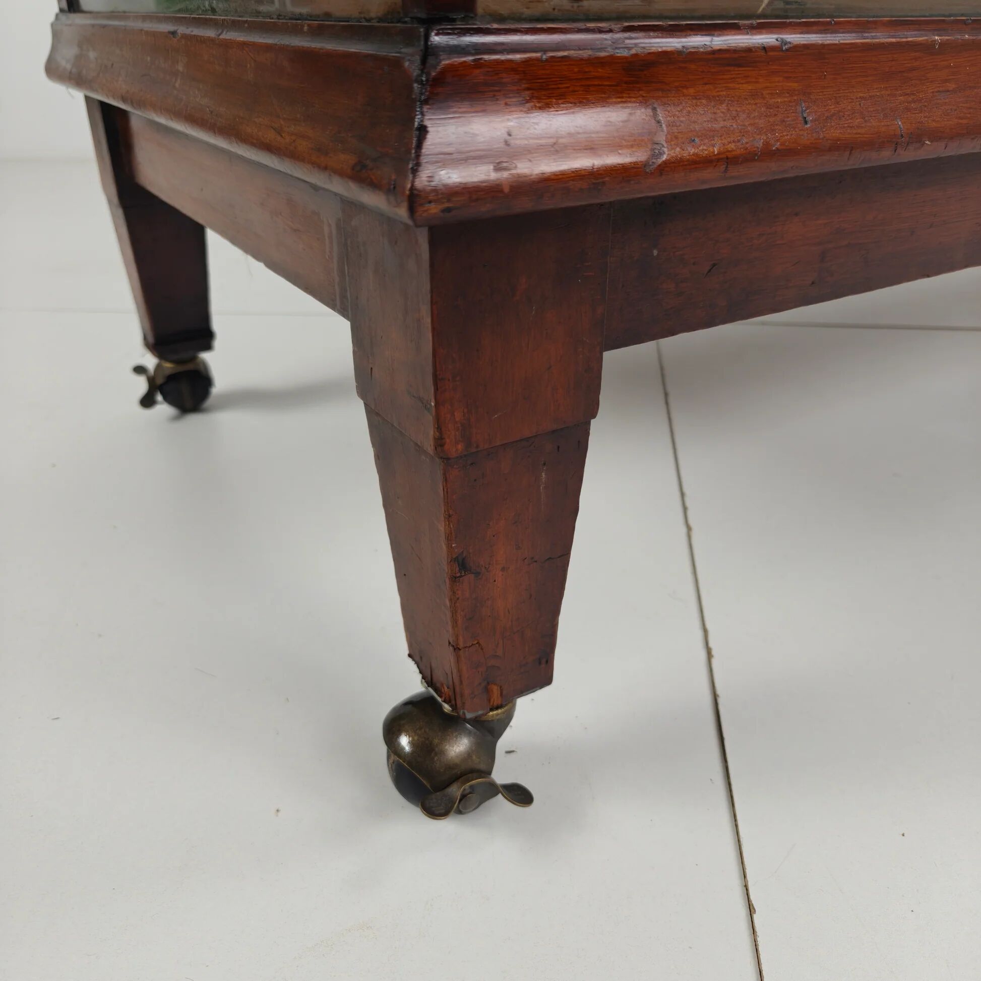 English shop display / shop counter (1910–1920)