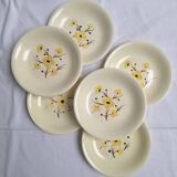 Vintage Salins deep plates