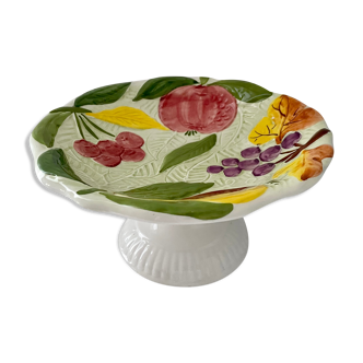 Slurry fruit cup