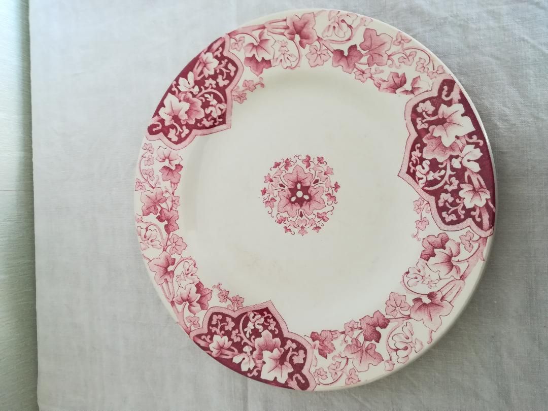 Old plate earthenware of Lunéville KG model "Ivy ".