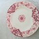 Old plate earthenware of Lunéville KG model "Ivy ".