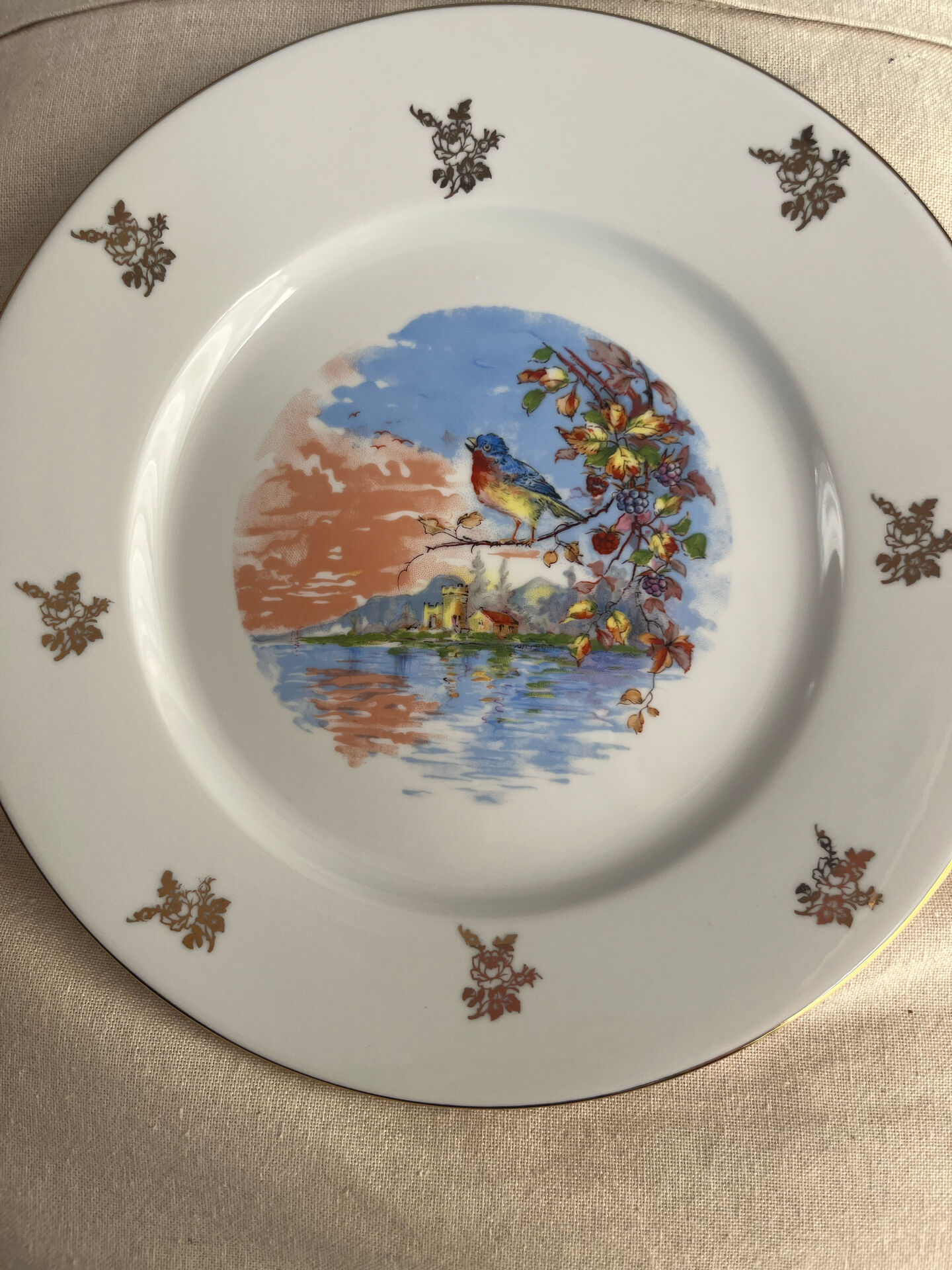 Antique Limoges porcelain plate – bird decoration – 25 cm