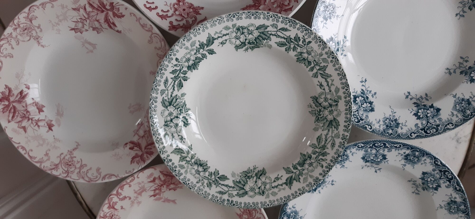Set of 6 hollow plates Terre de Fer XIXth Saint Amand "Campanule" "Anémone"