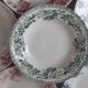 Set of 6 hollow plates Terre de Fer XIXth Saint Amand "Campanule" "Anémone"