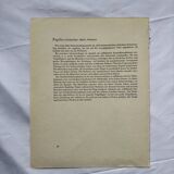 Botanical naturalist plate butterfly old engraving