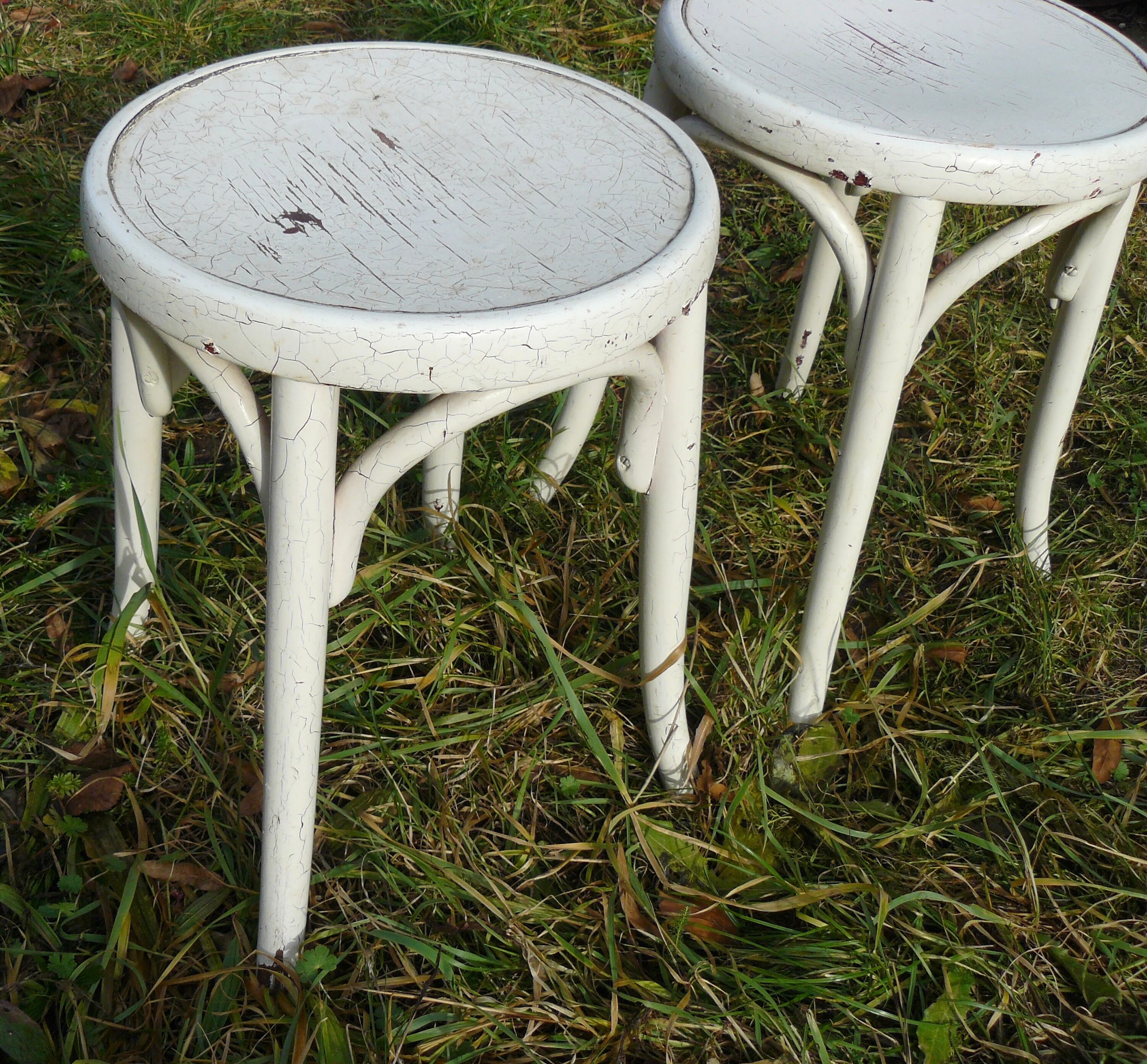 Paire de tabourets bistrots fischel bois courbé