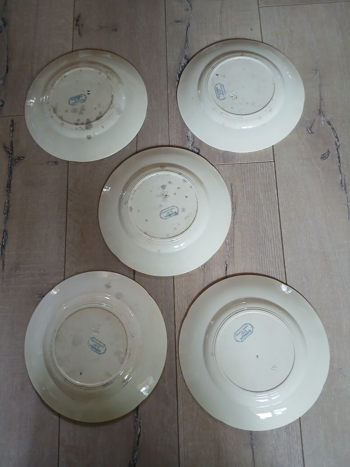 5 old flat plates in Sarreguemines ironstone