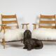 Pair of “lounge” armchairs in blond beech. 1950s