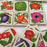 Lotto In the garden - card game