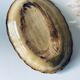 Old oval dish